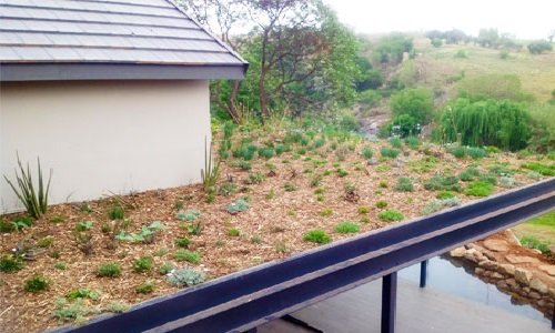 Roof Gardens